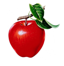 ÐÐ°ÑÑÐ¸Ð½ÐºÐ¸ Ð¿Ð¾ Ð·Ð°Ð¿ÑÐ¾ÑÑ Ð¼Ð°Ð»ÑÐ½Ð¾Ðº ÑÐ±Ð»ÑÐºÐ¾